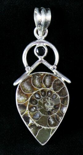 Ammonite Fossil Pendant - Sterling Silver #19896